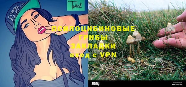 spice Волосово