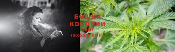 spice Волосово