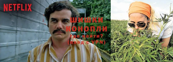 spice Волосово
