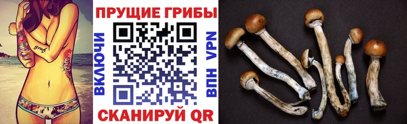 что такое Владимир Галлюциногенные грибы прущие грибы